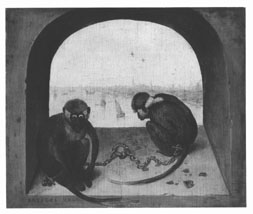 monkeys